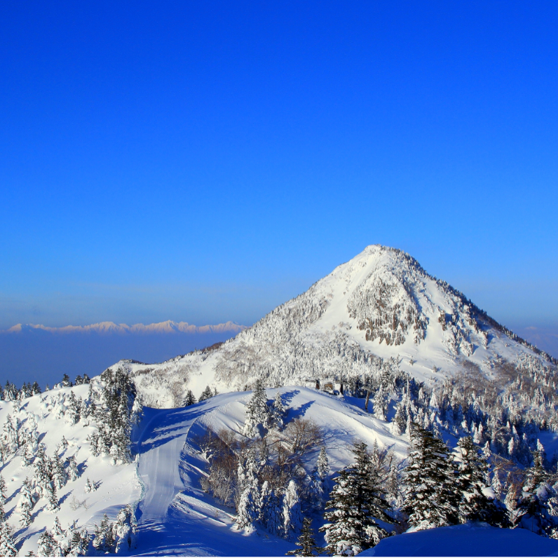 【珍しい翡翠色の美肌の湯｜熊の湯温泉】志賀高原でのおてつたび♨隣接するスキー場はパウダースノーで雪質も魅力です⛄