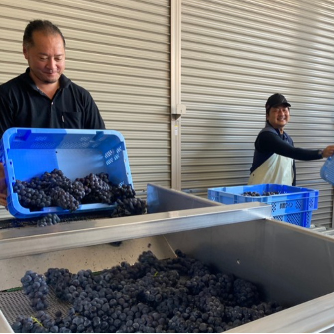 ＼あつまれ!!都農町を楽しむツアー補助員／雄大な自然・温かい人・挑戦を歓迎する まち「都農町」で初開催「おためし協力隊ツアー」の補助を担っていただけるおてつびとさんを募集します！