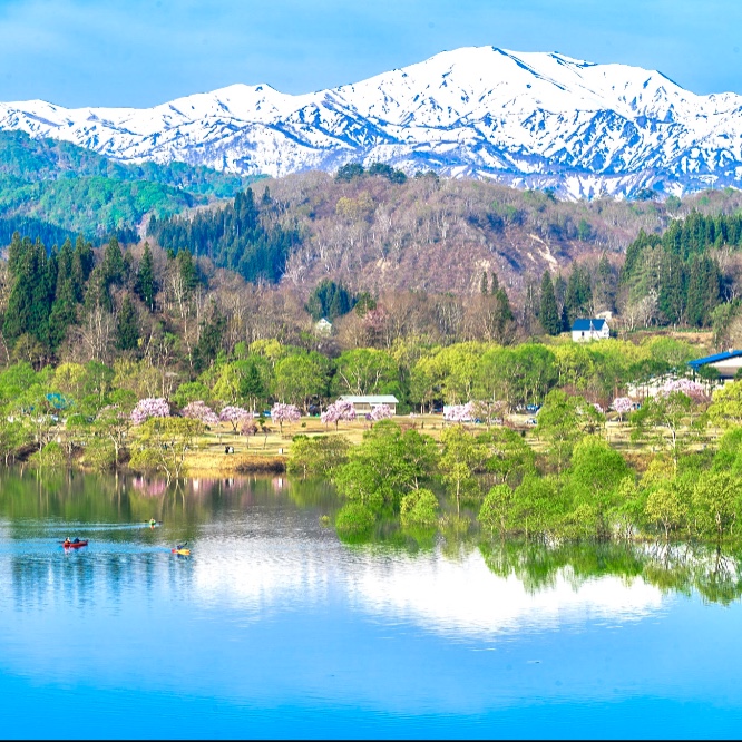 🌳山形県白川湖の水没林🌳観光シーズン運営のお手伝い　豊かな自然の中で働きながら、新しい地域の魅力を発見！
