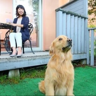 ～森の風に包まれて、ペットと働く高原のおてつたび～ 涼しい軽井沢で、自然と動物に囲まれた癒しの暮らし体験【車通勤できる方歓迎！！】