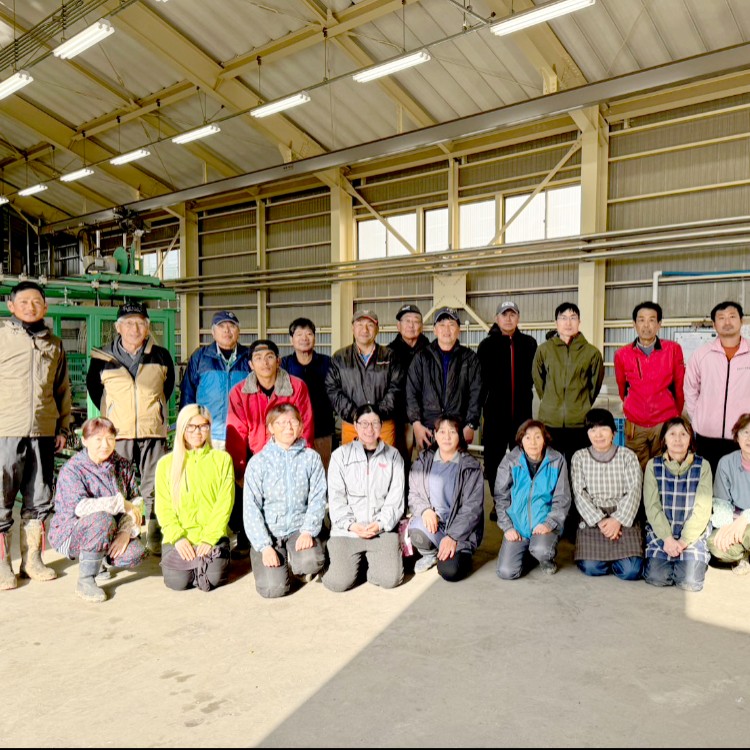 山形でお米づくりのお手伝い！みんなで自然と触れ合いながら楽しく作業しませんか？