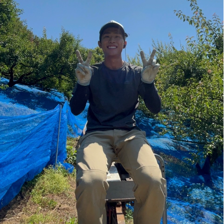 【和歌山・紀州南高梅】6/10〜6/24限定🌿梅収穫のおてつたび（昼食付きです！）