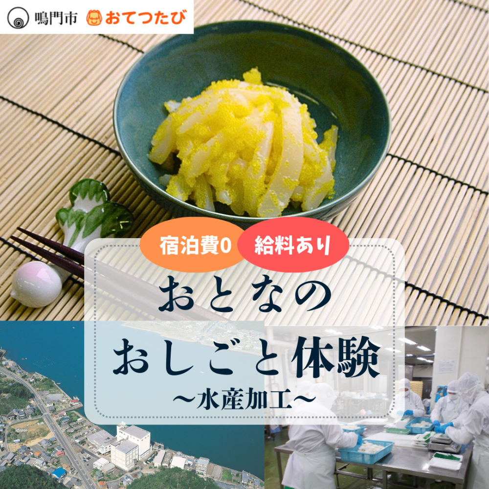 【鳴門市でおとなのおしごと体験🍥】水産加工事業所でのおてつだい🙋リアルな水産加工の現場に飛び込む1週間！プレミアム✨な1日観光ツアーも！ー鳴門で学ぶ、働く、暮らす