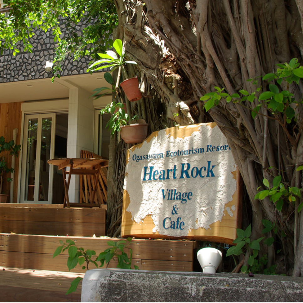 【🌊】世界自然遺産・父島の海のそばで働く。暮らしと島の仕事に向き合うおてつたび