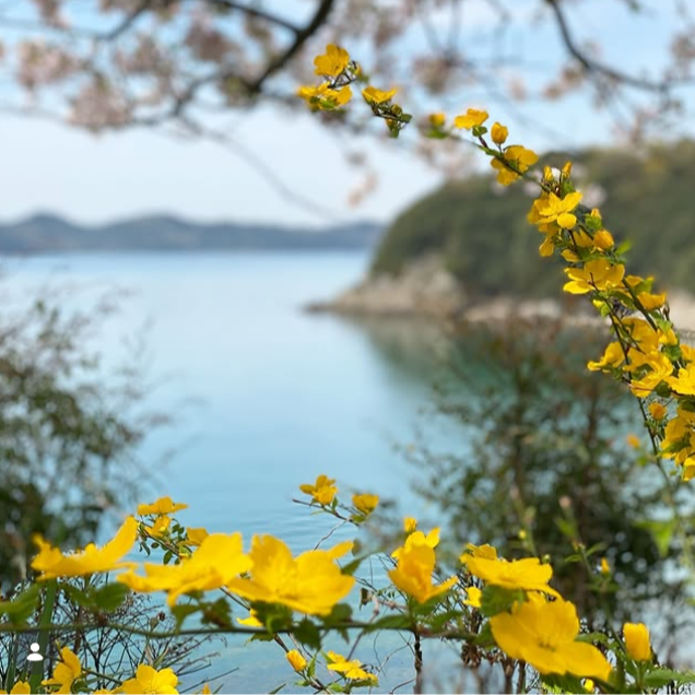 【頭島/島の宿、海まで0分。】「おやじの海」で、旅人の“いい時間”をつくるおてつたび 🌊
