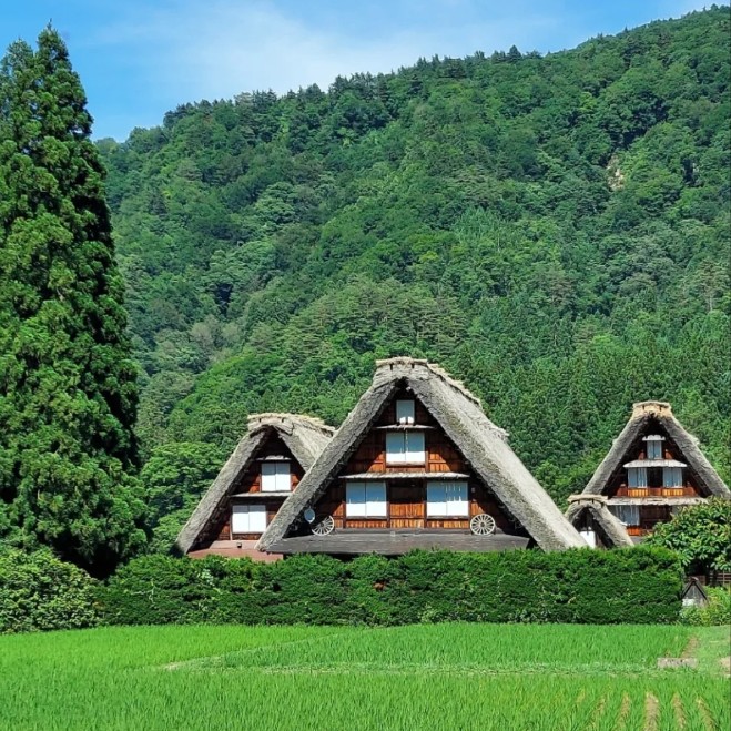 【秋の世界遺産白川郷】築300年の合掌造りでおてつたび♪