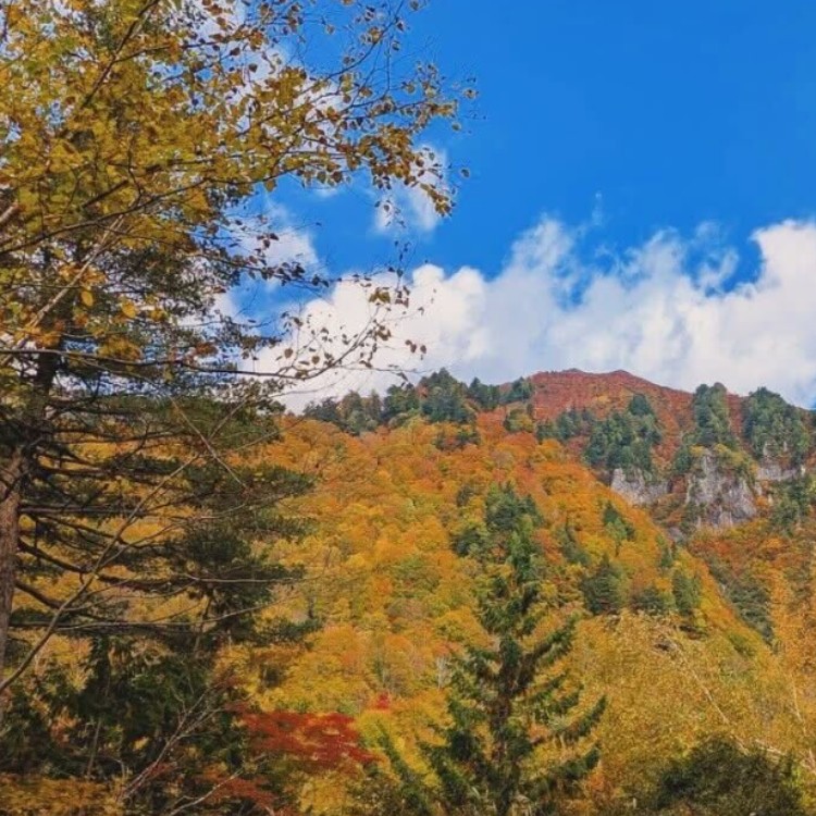 【週末の2日間】紅葉シーズンの真っ只中🍁志賀高原のリゾートホテルでおてつたび!登山・ハイキング・写真撮影などお仕事前後には是非周囲もお楽しみください◎