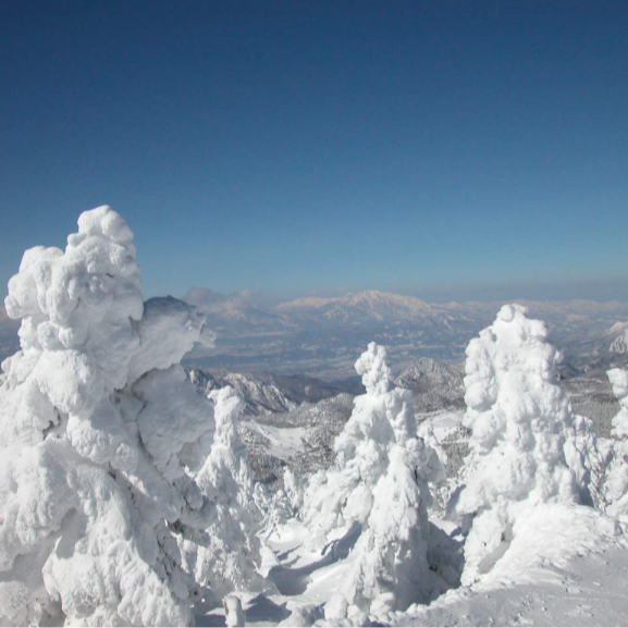 【標高1680m｜広大な志賀高原】初心者ゲレンデすぐの宿を「調理補助」で支えるおてつたび【レンタル／リフト無料＆バス停／コンビニのアクセスも良い環境◎】
