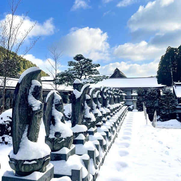 追加募集!【雪景色の世界遺産・高野山で自分を見つめて過ごしませんか】1200年続く天空都市の中での「おてつたび」!宿坊寺院やお土産店舗などでのお手伝いをしながら高野山での暮らしが体験できます