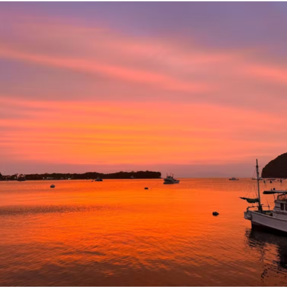 Calmbace西伊豆で始める、地域とつながる海辺の暮らし