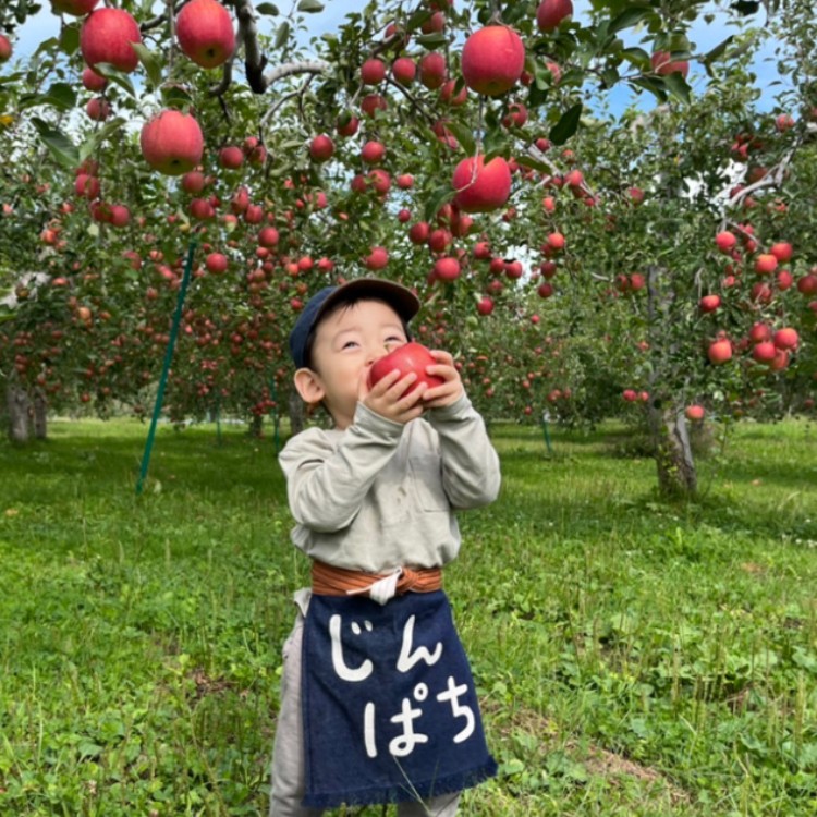 あおもり暮らしインターン募集／ 「青森りんご産業を救え！」SNS広告企画・情報発信のおてつたび