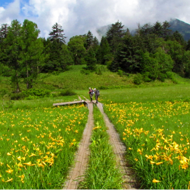 尾瀬戸倉温泉｜尾瀬の玄関口で家族のように迎える宿での暮らしながら働くおてつたび。