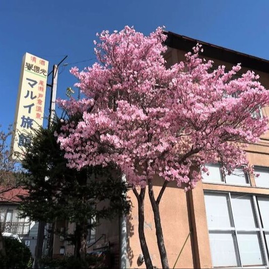 尾瀬の玄関口🏔国立公園すぐ・ハイキングも楽しめる避暑地で働く夏のおてつたび|温泉宿スタッフ募集