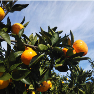 🌊【岡山・備前】瀬戸内の風を感じながら、ペンションの温かい日常をお手伝い✨ 島々を眺める静かな時間を一緒に