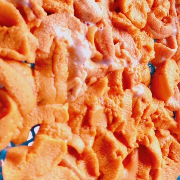 【9月前半】北海道・花の浮島 礼文島でウニ剥き&利尻昆布干しのおてつたび\軽作業/\初心者大歓迎/