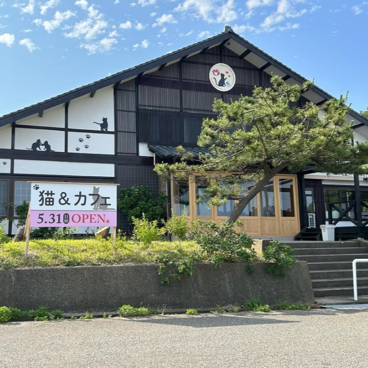 【新潟県の日本海が目の前！海岸線から眺める夕日は絶景です！】ホテルに隣接した猫&カフェでホールスタッフのおてつたび♪