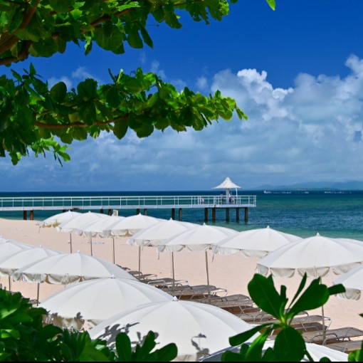 【レストランスタッフ】石垣島フサキビーチリゾート | 透きとおる海、真っ白な砂浜が目の前に広がるホテルのレストランでおてつたび🏝