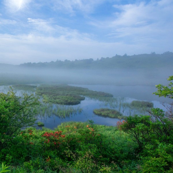 標高1,630m、神宿る湿原のほとり。夏の繁忙期、 八島湿原・八島山荘でおてつたび 🌿休日には霧ヶ峰高原でのハイキングや高山植物などもぜひお楽しみください。
